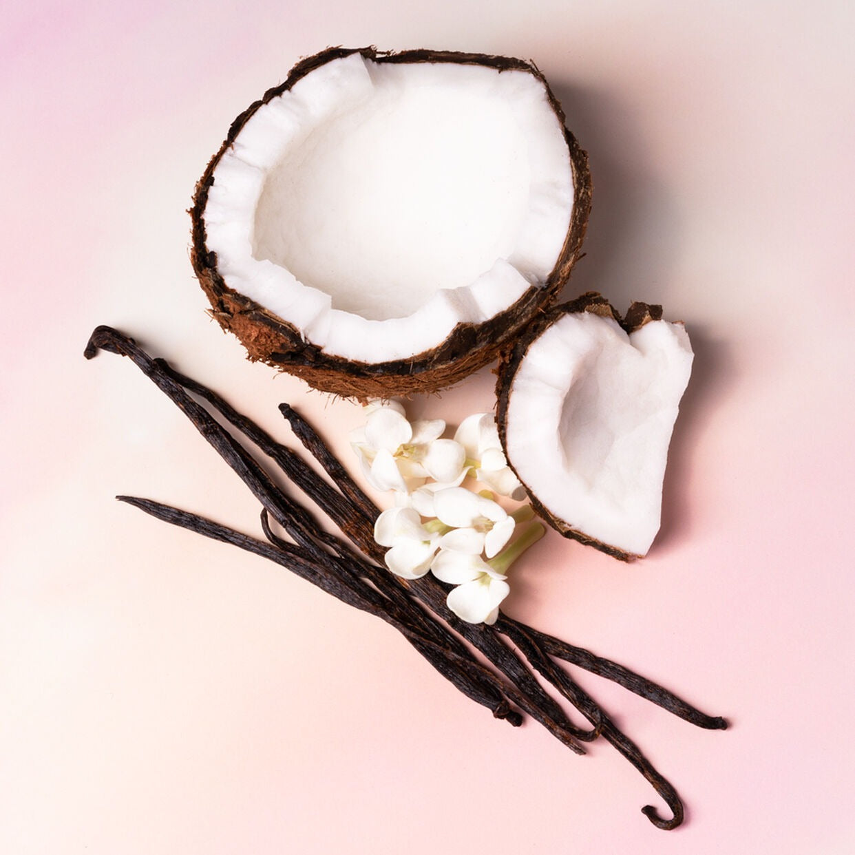 Vanilla Coco