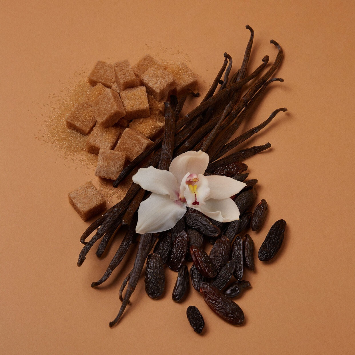 Vanilla